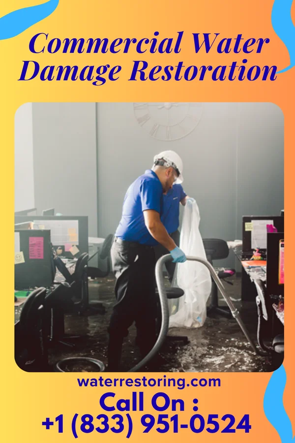 Commercial Water Damage Restoration in Dunlap, IL